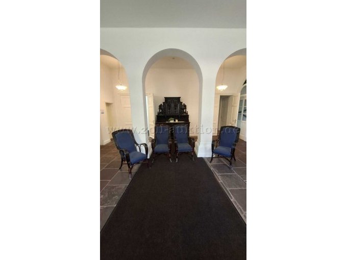 Frontansicht alle Stühle