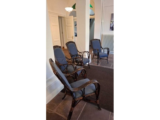 seitlicher Blick von links