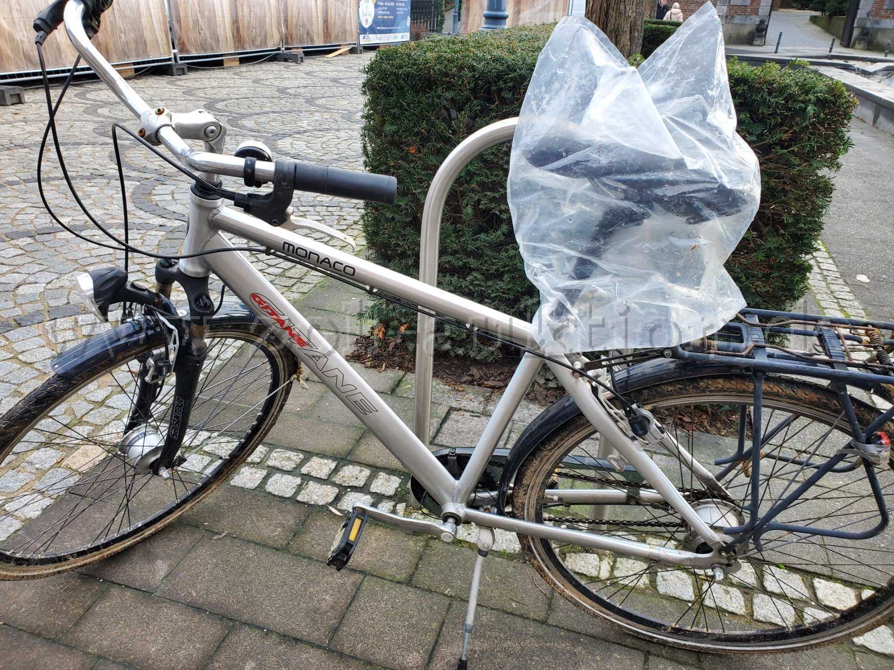 Gitane