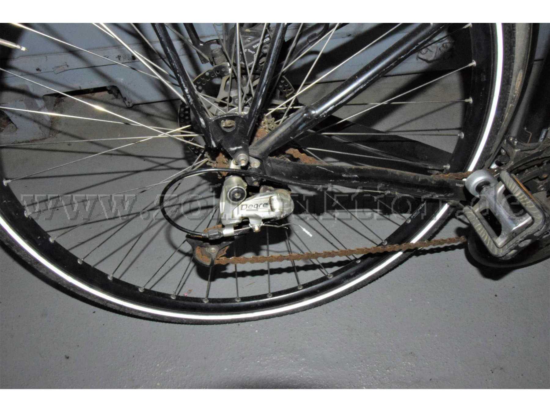Koga Miyata: Kette rostig