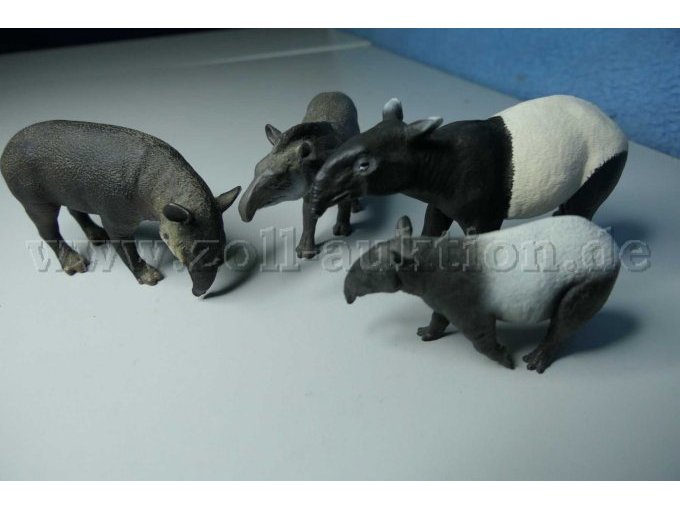 Tiere von vorne