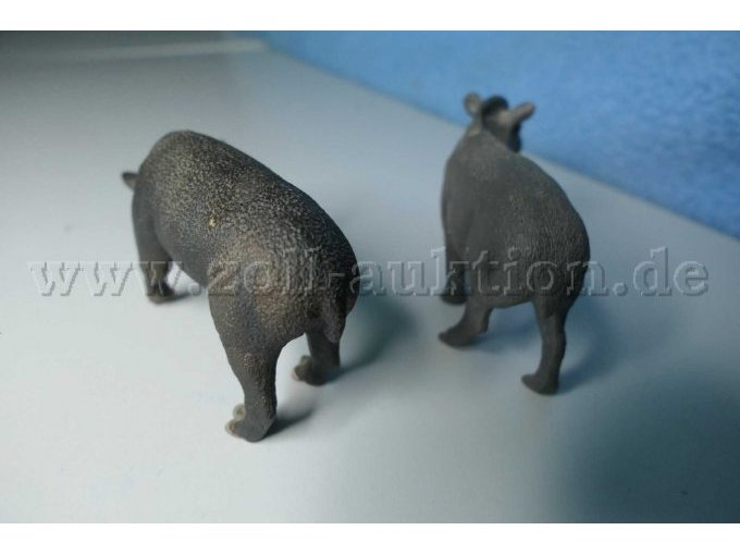 Die anderen zwei Tiere von hinten