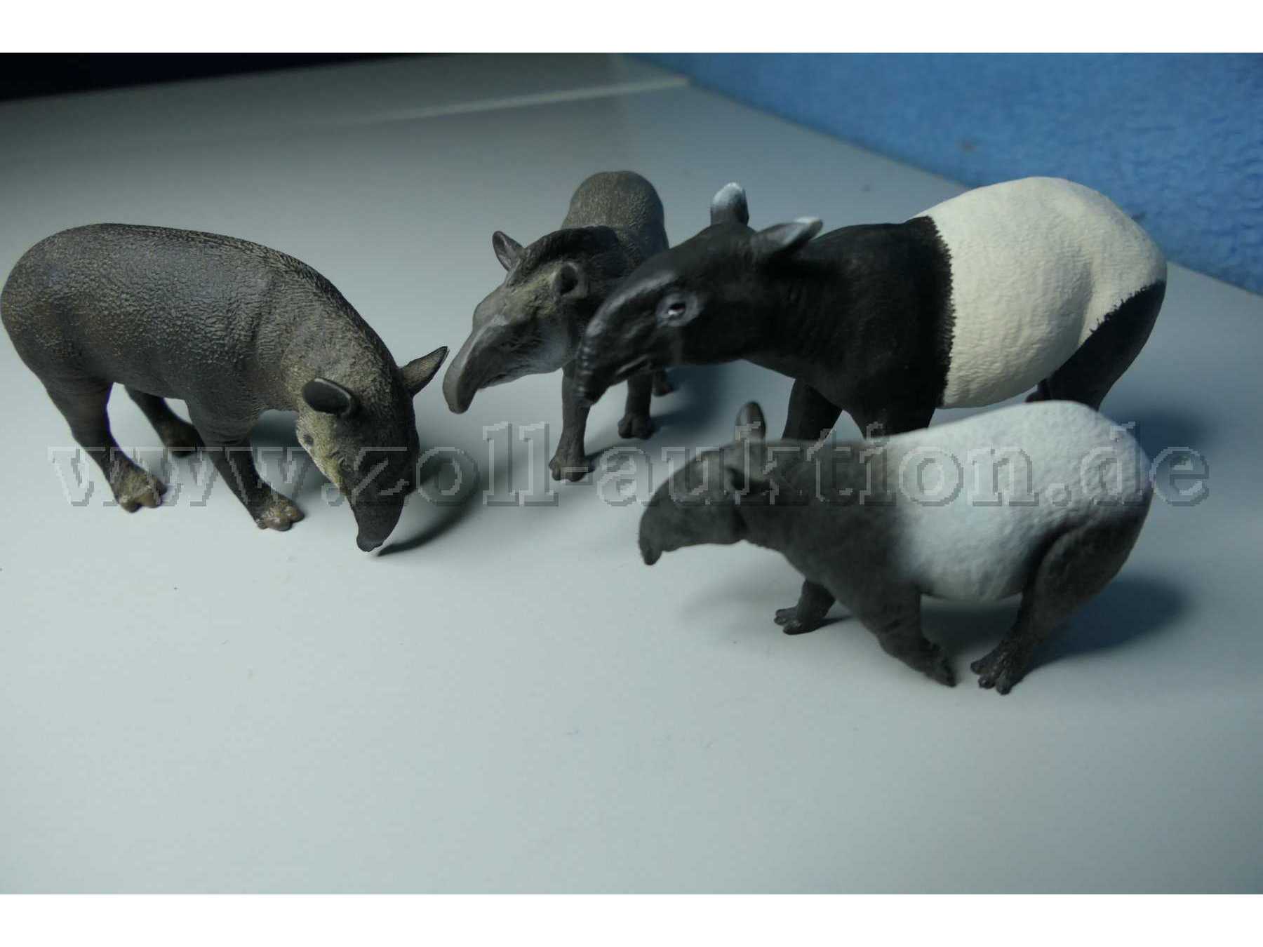 Tiere von vorne