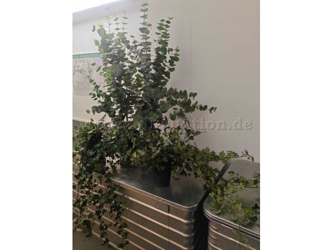 4_Kunstpflanzen_Bild1