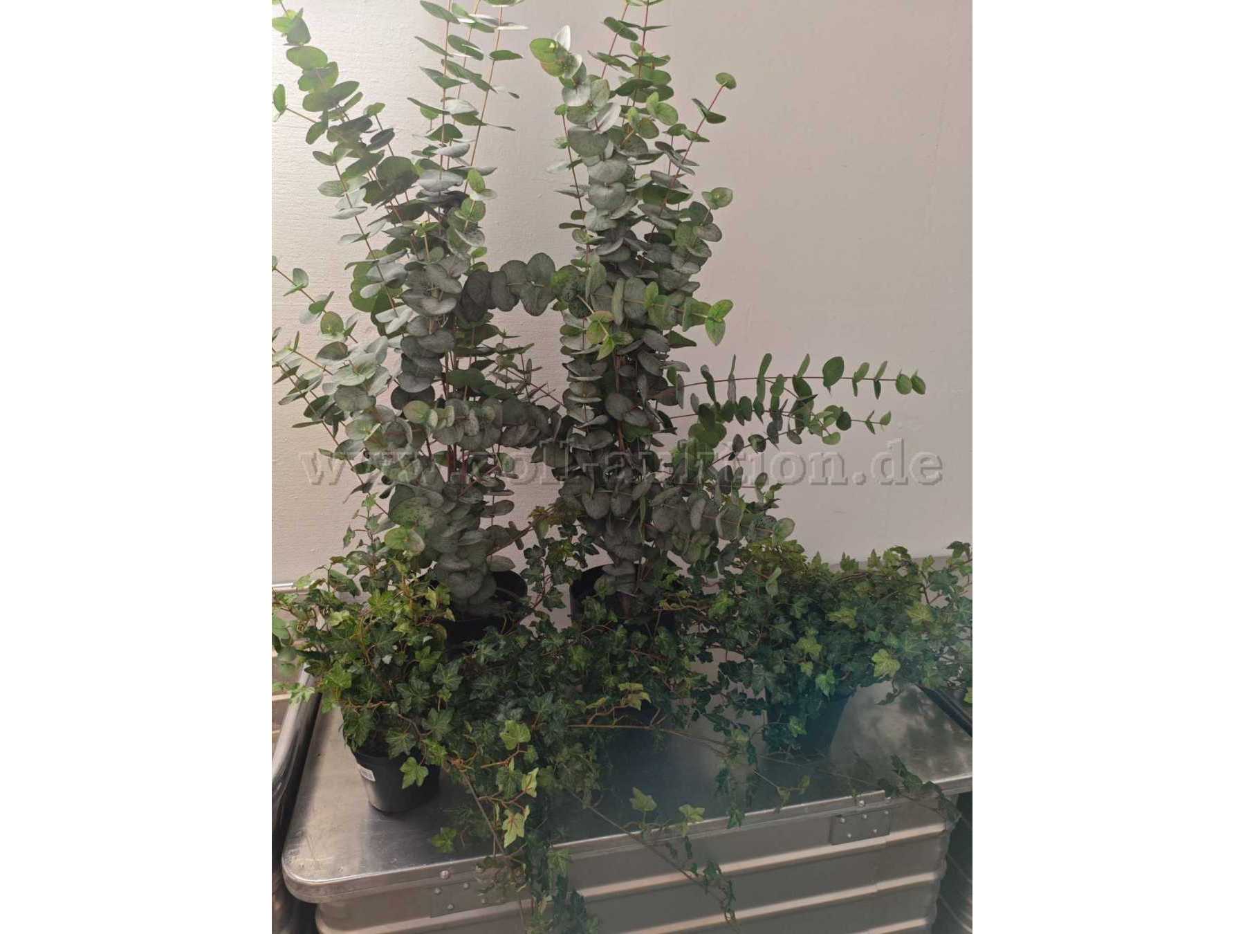 4_Kunstpflanzen_Bild2