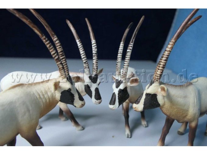 Mojo Oryxantilope 387242 Gesamtansicht Köpfe