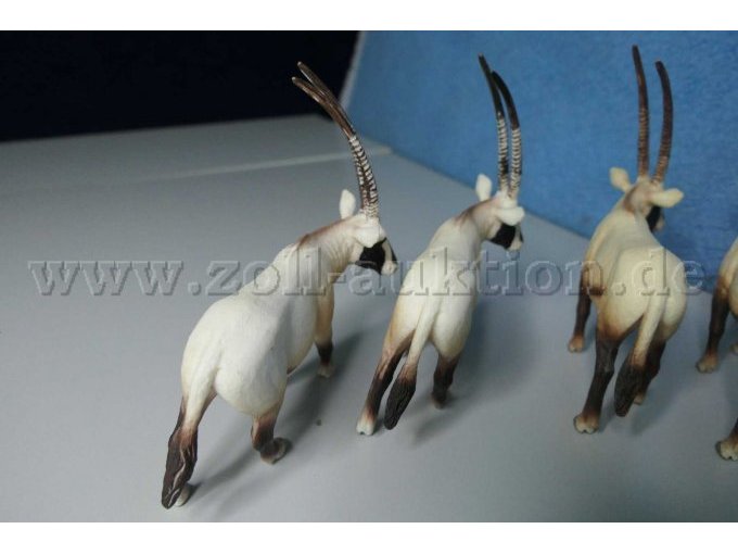 Mojo Oryxantilope 387242 Gesamtansicht von hinten