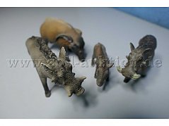 Tiere von vorne