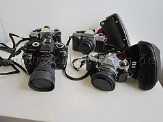 Sammlung Spiegelreflexkameras