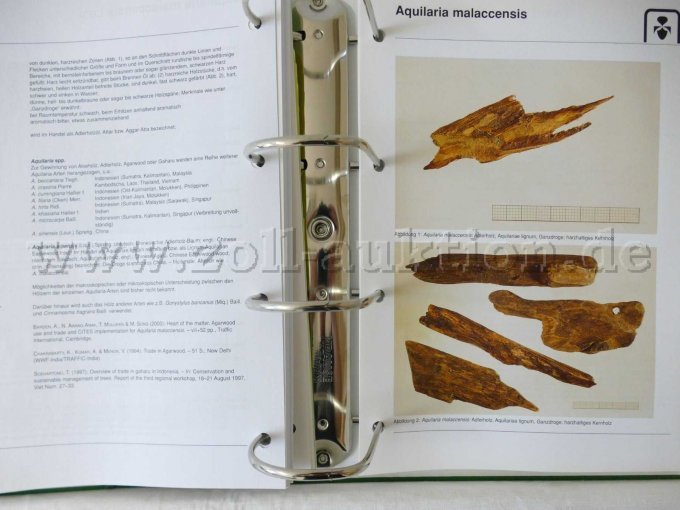 Draufsicht aus Teil 5