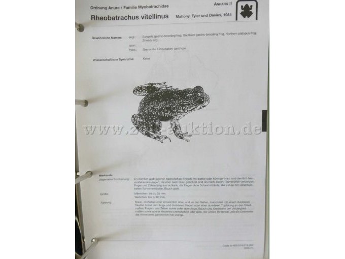 Teilansicht aus Teil 5