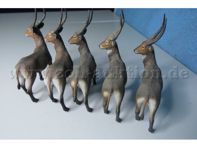 CollectA Wasserbock 88562 Gesamtansicht von hinten