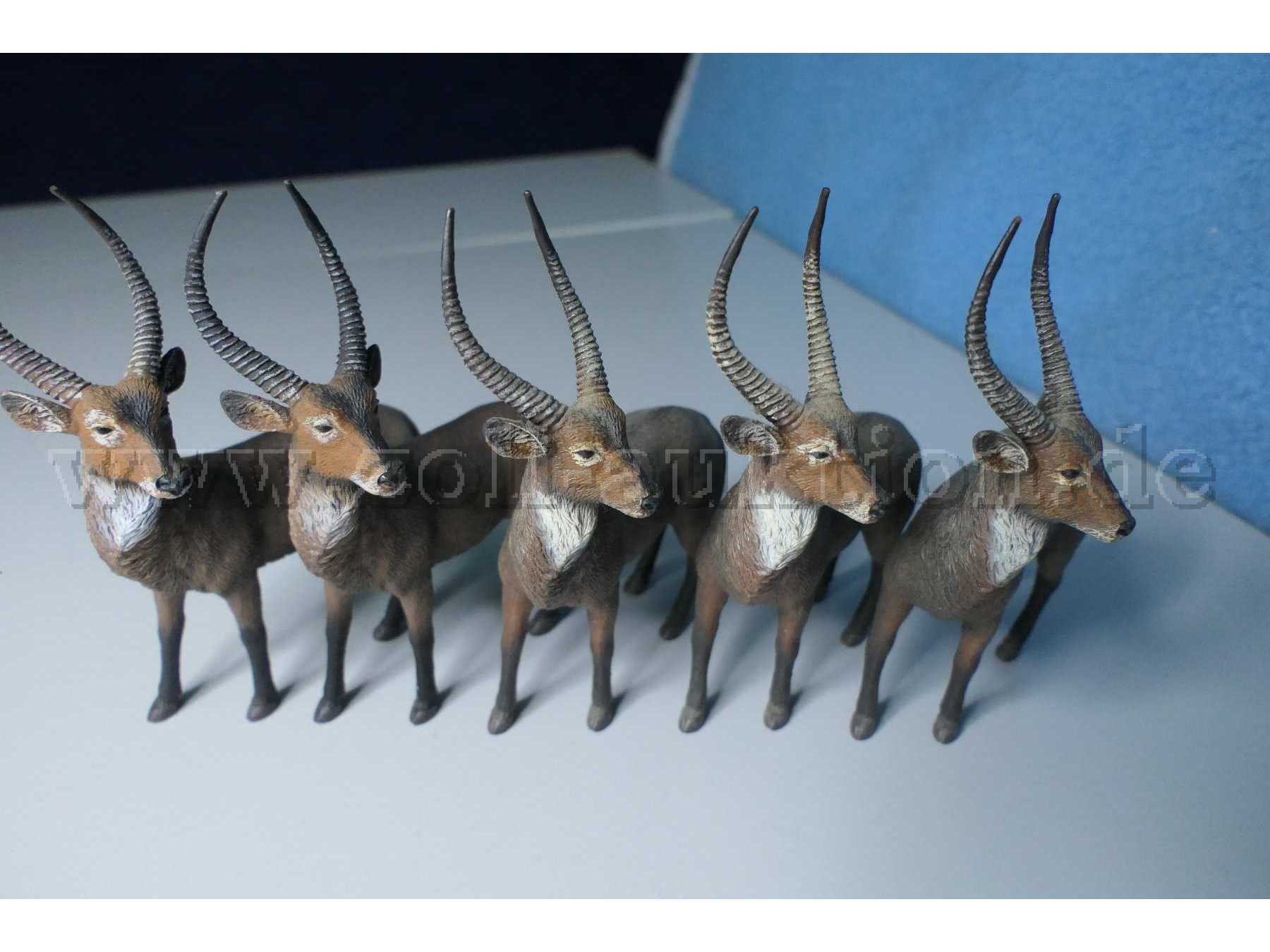 CollectA Wasserbock 88562 Gesamtansicht