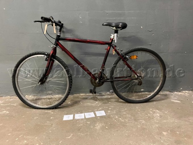 Herren Trekkingrad - 1094
