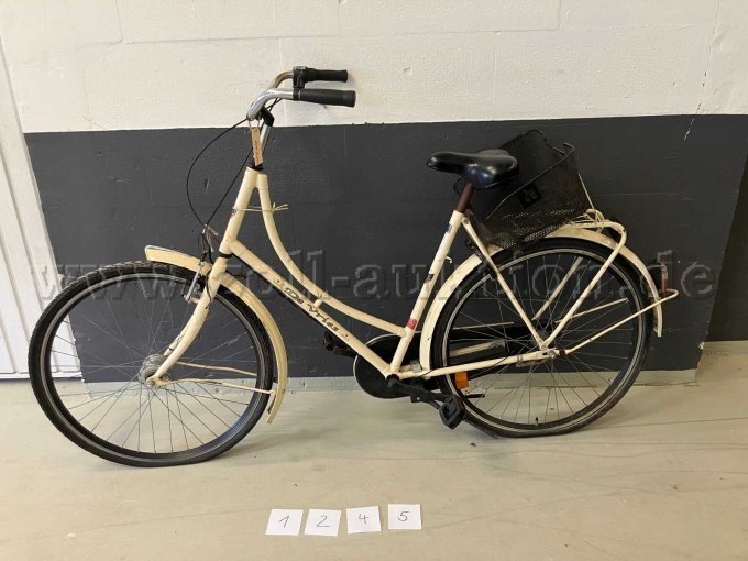 Hollandrad De Vries -1245