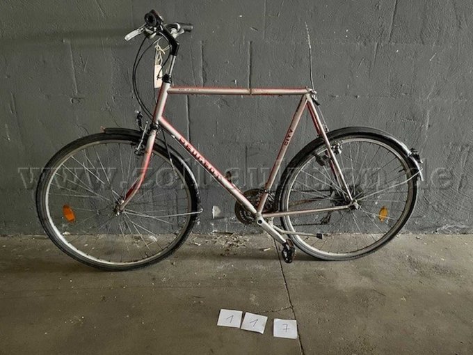 5 fietsen van verschillende fabrikanten in verschillende maten – foto 3 – kavel bij Zoll-Auktion, Lübeck