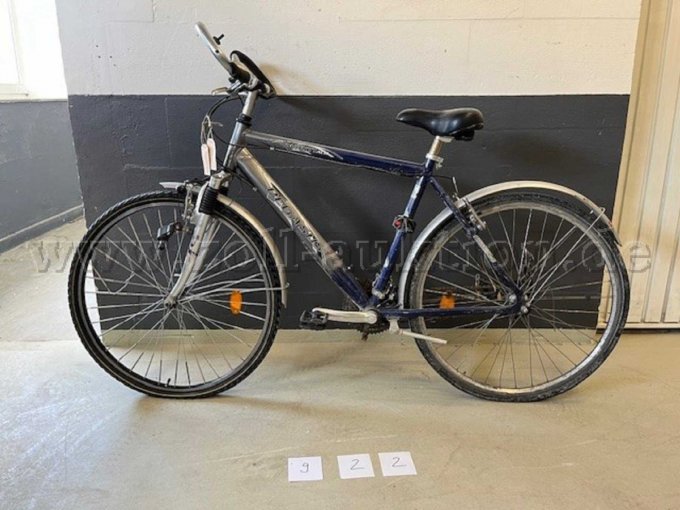 Pegasus Herrenrad - 922