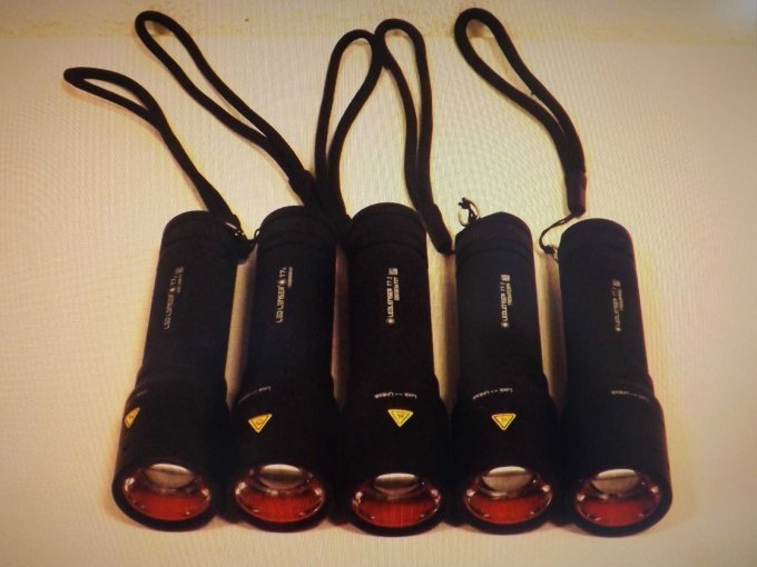 Die 5 LED`s mit Trageschlaufe.