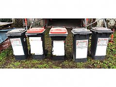 Ansicht Mülltonnen vorne
