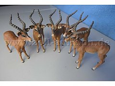 Die Tiere von vorne