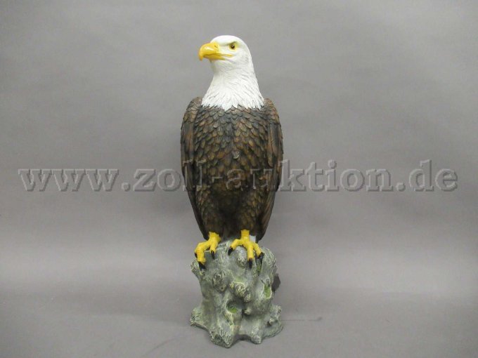 Adler sitzend