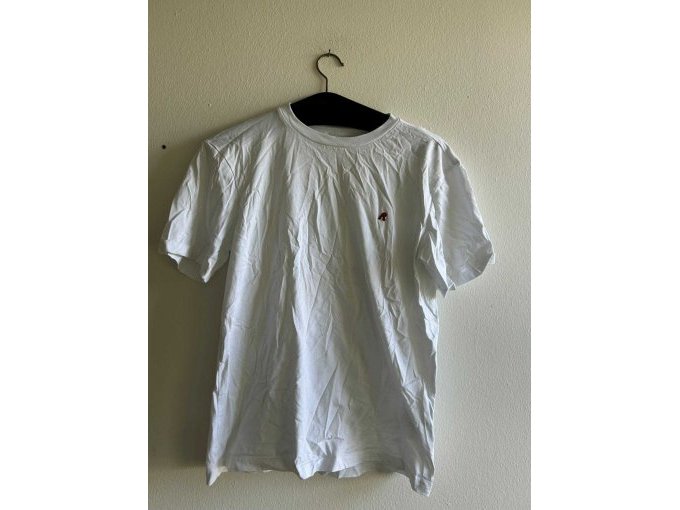 5 originele T-shirts van Jack Wolfskin en Replay, grijs, blauw, zwart, wit, maat S, nieuw – foto 10 – kavel bij Zoll-Auktion, Mainz