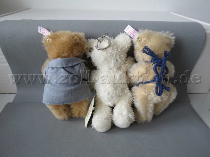 3 kleine Bären Rücken