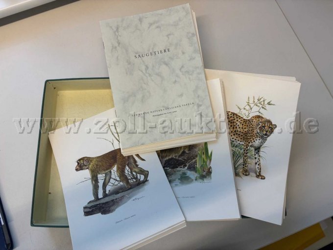 Sammlung Säugetiere - Inhalt