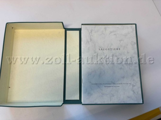 Sammlung Säugetiere - Dr. E. Mohr