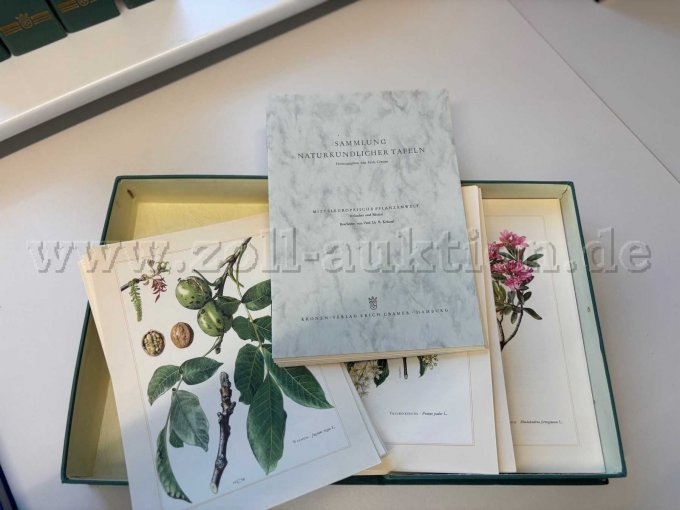 Sammlung Sträucher und Bäume - Inhalt