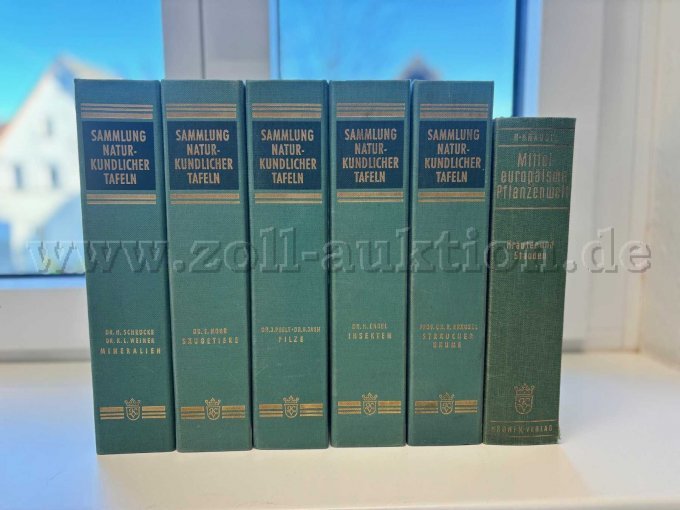 Sammlung Naturkundlicher Tafeln - Kronenverlauf