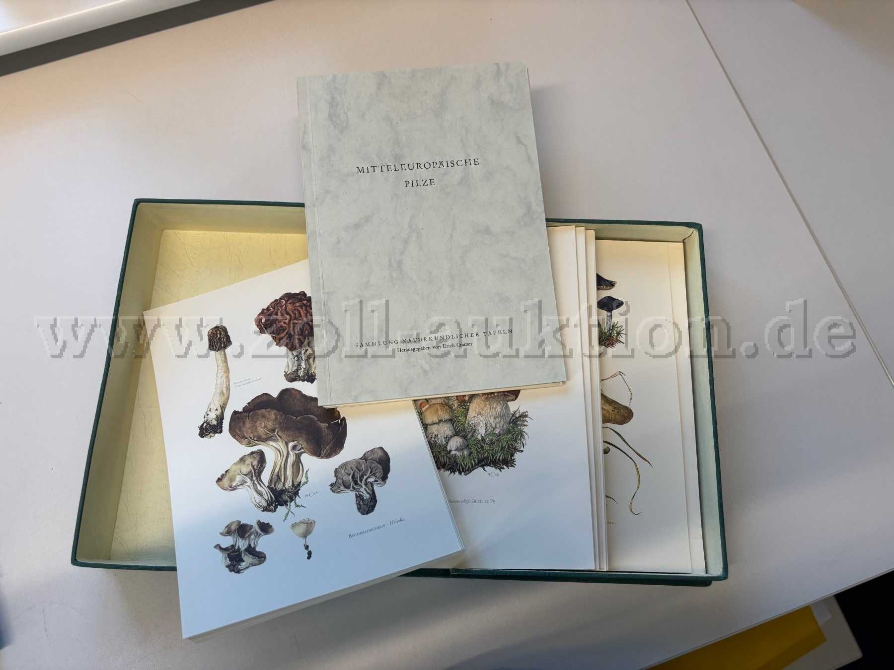 Sammlung Pilze - Inhalt