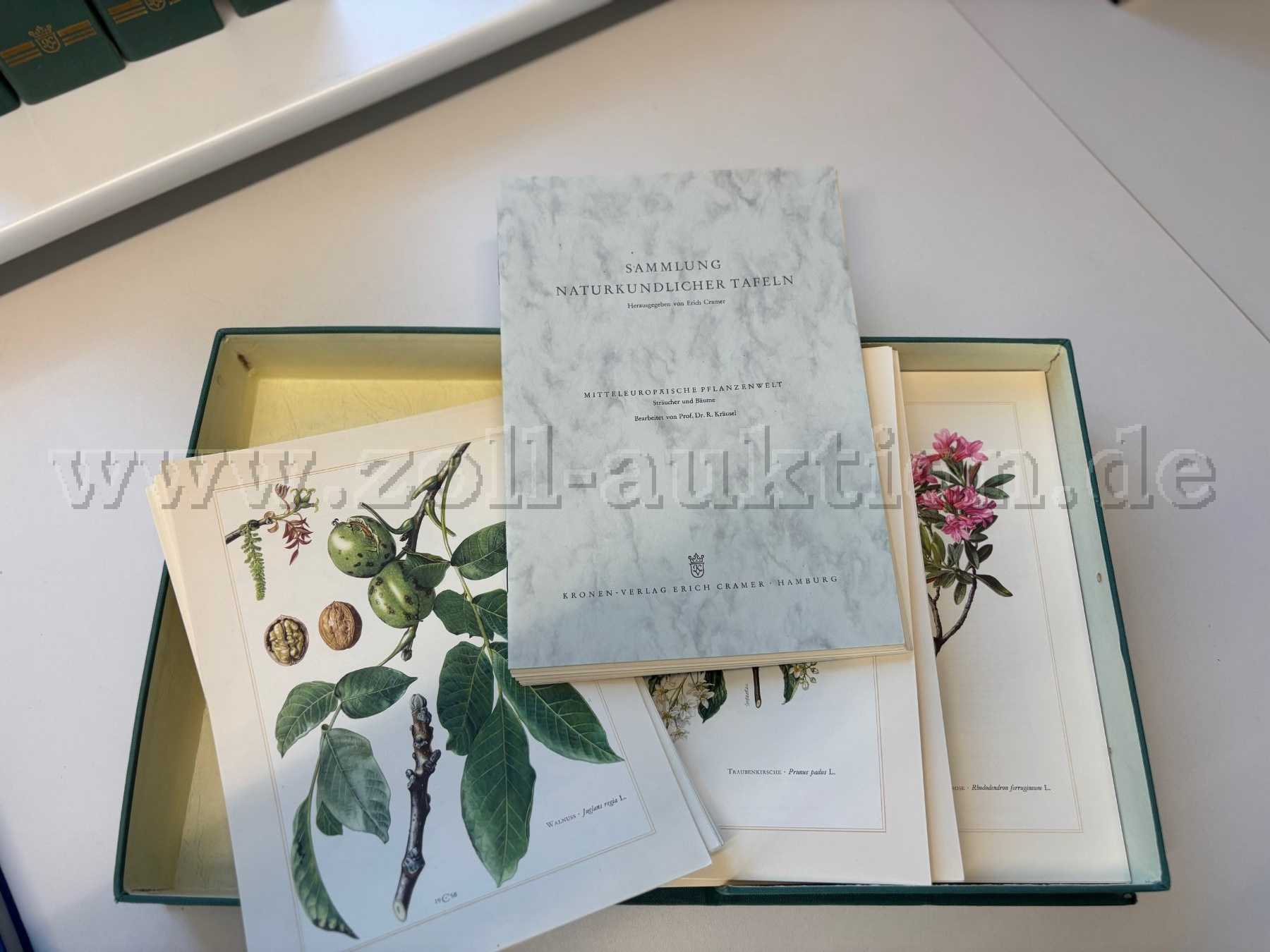 Sammlung Sträucher und Bäume - Inhalt