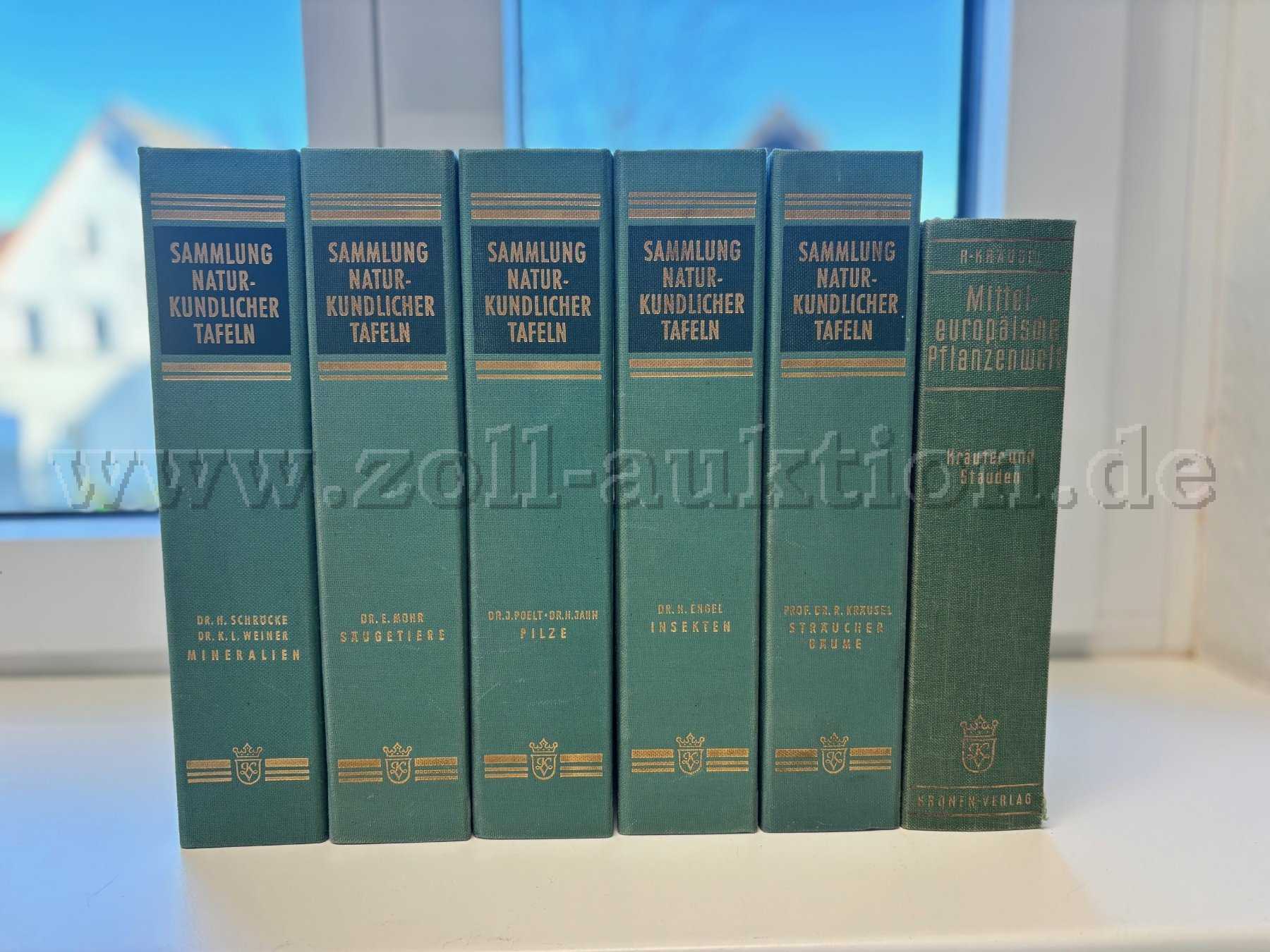 Sammlung Naturkundlicher Tafeln - Kronenverlauf