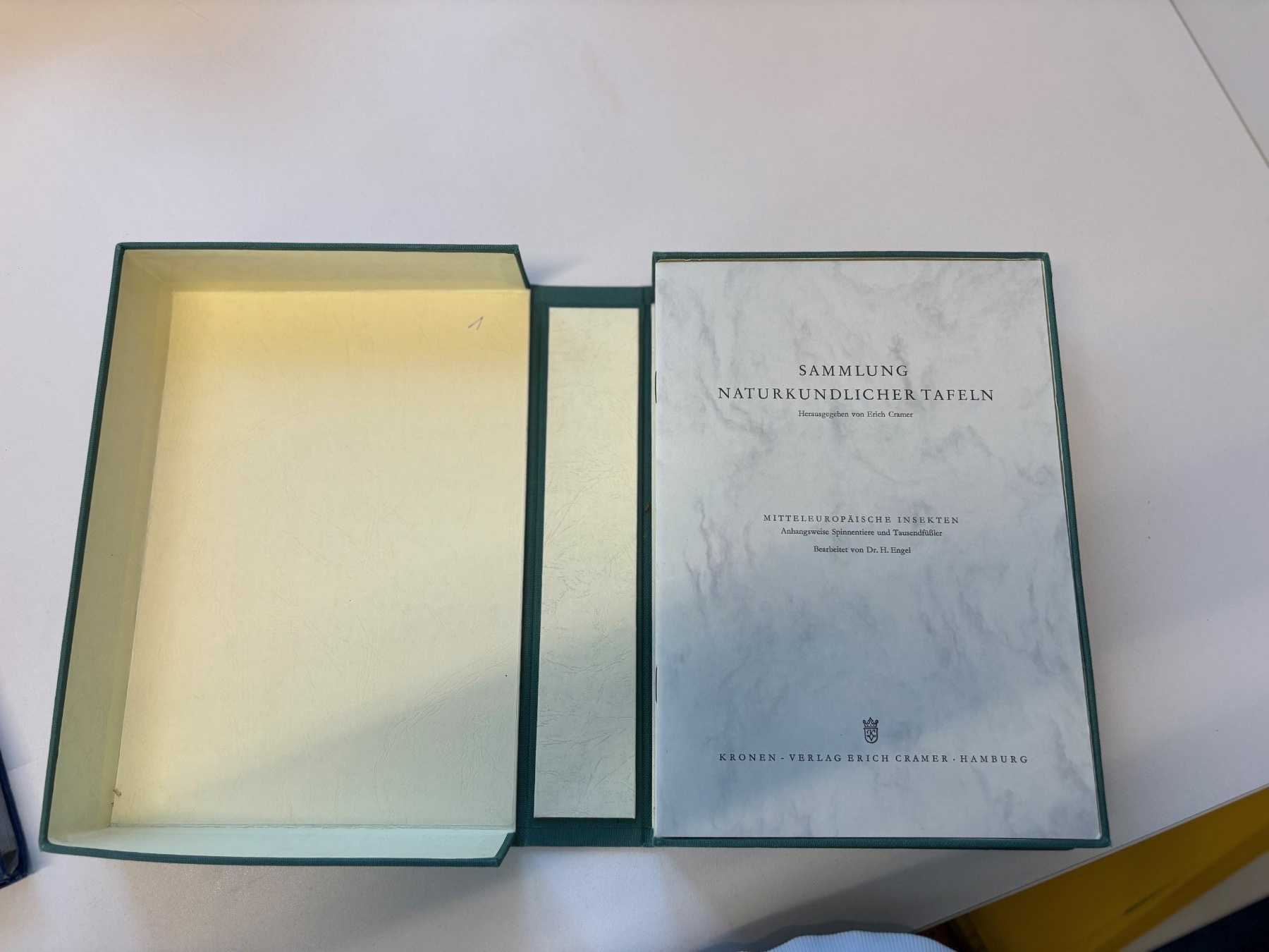 Sammlung Insekten - Dr. H. Engel