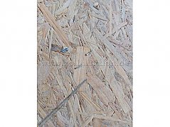 OSB-Platten 1