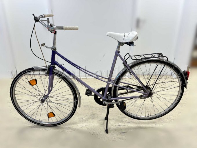 Damenrad von Pegasus, links