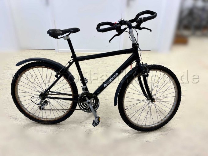 All Terrain Bike von einer unbekannten Marke, rechts