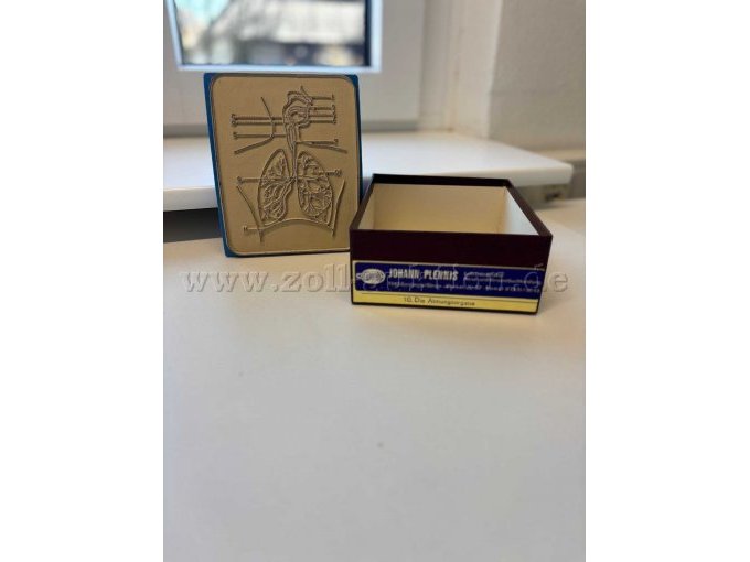 Atmungsorgane, Stempel