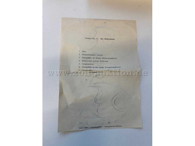 BLutkreislauf, Beschreibung