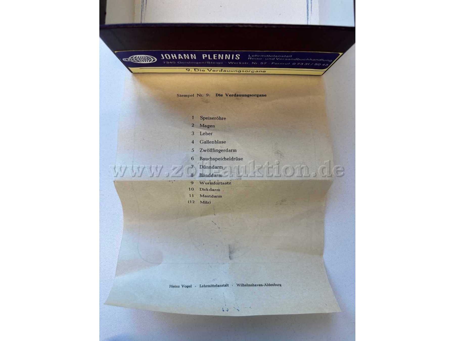 Verdauungsorgane, Beschreibung