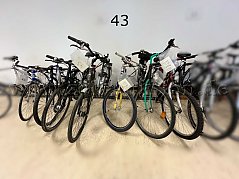 Übersicht Konvolut (von links nach rechts): Gazelle, KU Bikes, unbekannte Marke, Feldmeier, Kettler, Weber