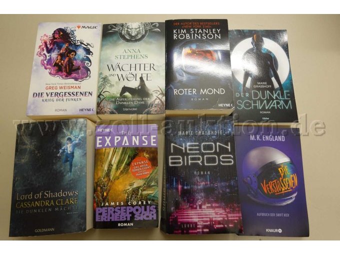 Konvolut von 8 Büchern Fantasy / Science-Fiction