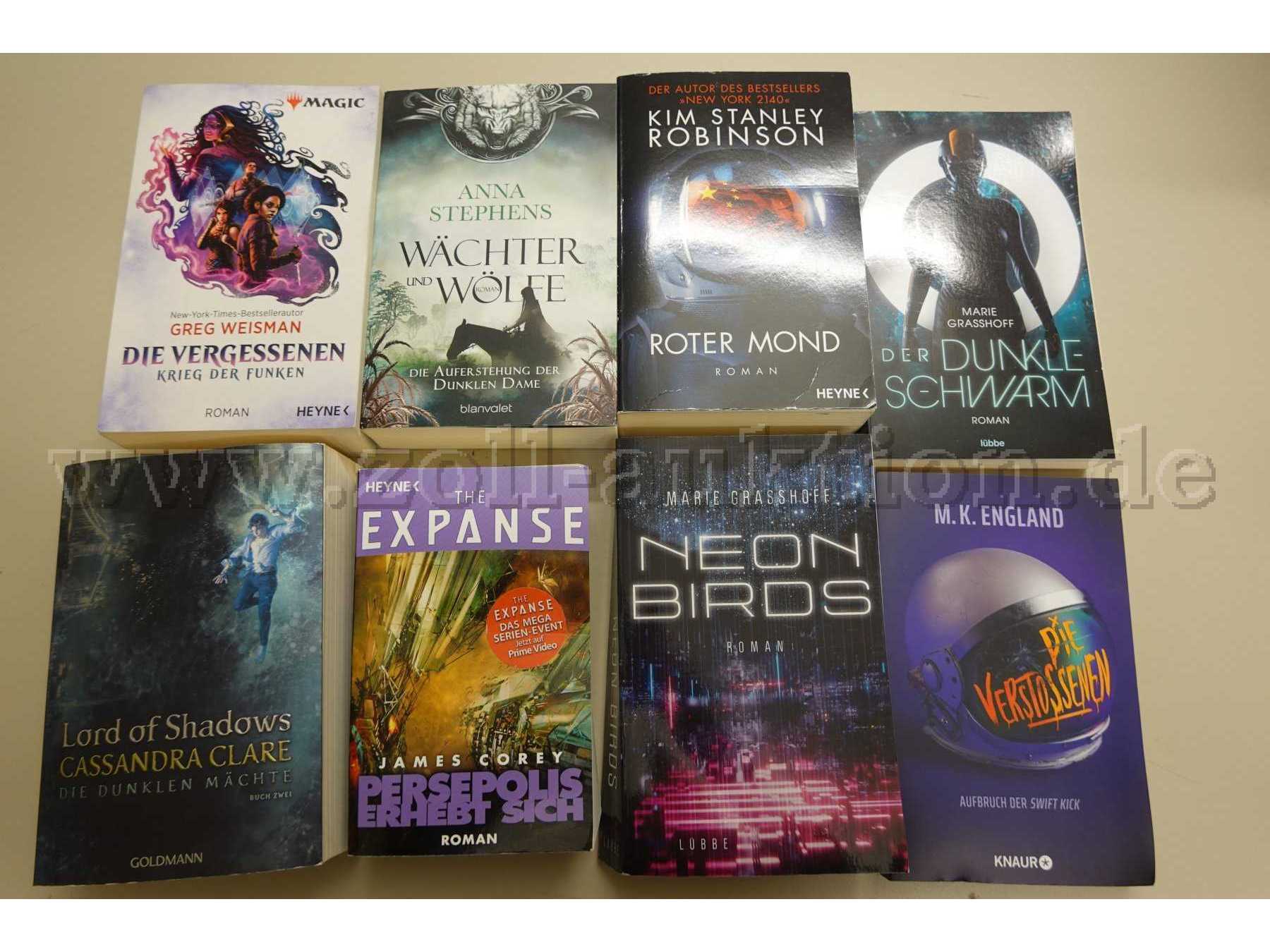 Konvolut von 8 Büchern Fantasy / Science-Fiction