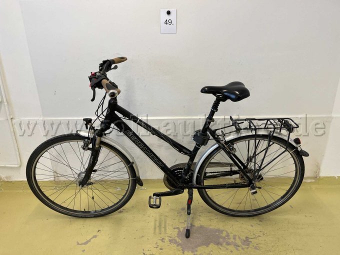 Trekking-Rad von Bergamont