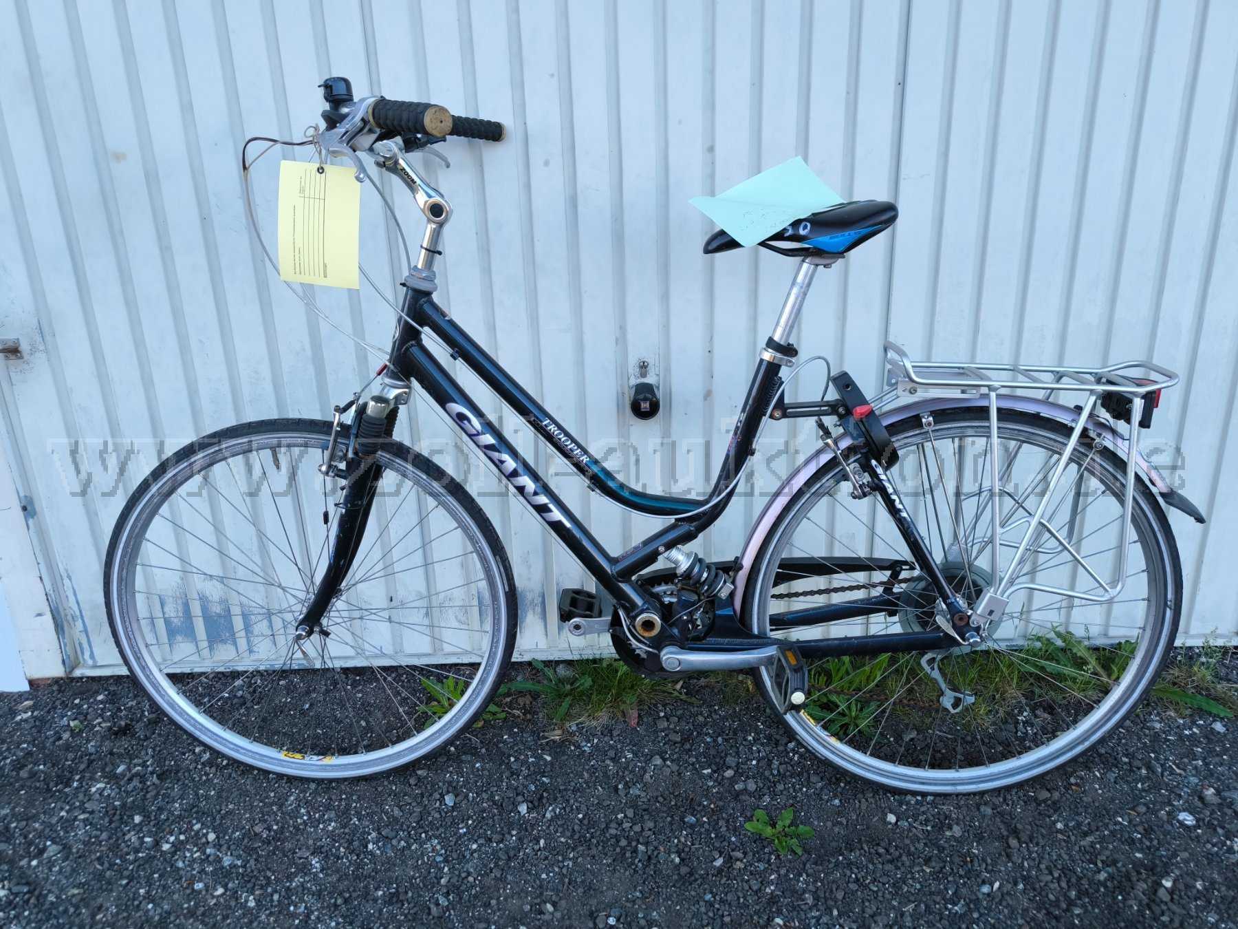 Damenrad, 28 Zoll, Giant