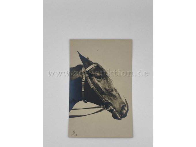 Postkarte 2
1 Pferd