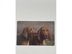 Postkarte 1
2 Hunde