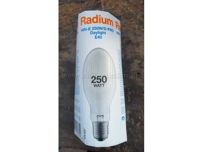 Ansicht Ersatzleuchtmittel, 250 Watt, E40